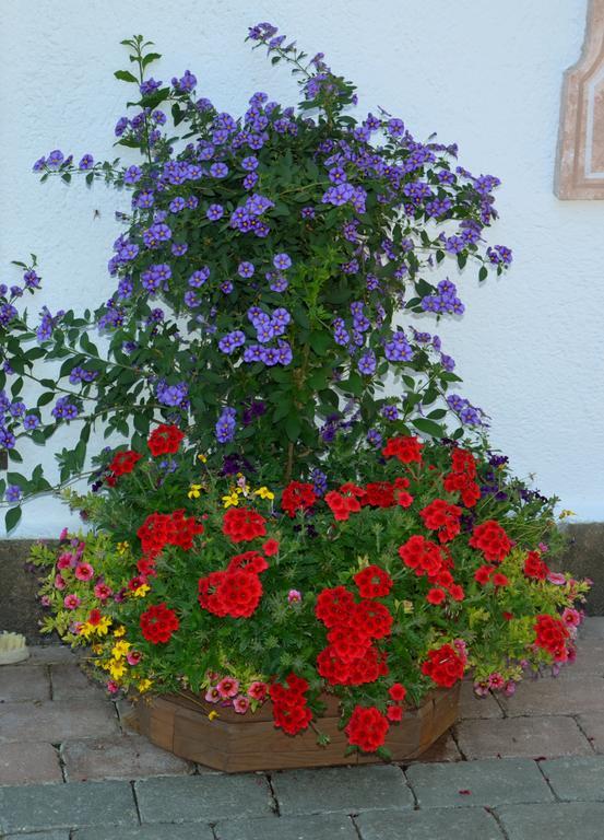 Apartment Gastehaus Friedl *